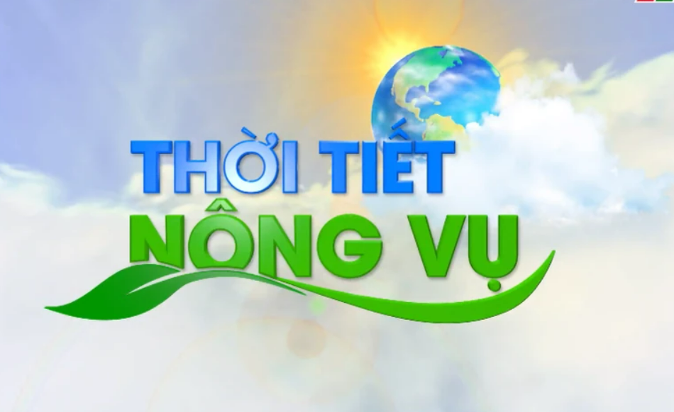 Bản tin thời tiết nông vụ 10 ngày từ ngày 11 - 20/02/2025 vụ lúa Đông Xuân muộn 2024 - 2025 và tình hình xâm nhập mặn, các giải pháp phòng chống hạn, mặn trên cây trồng