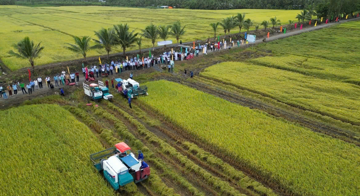 Huyện Long Phú tổ chức Hội nghị Xúc tiến thương mại và liên kết tiêu thụ lúa gạo